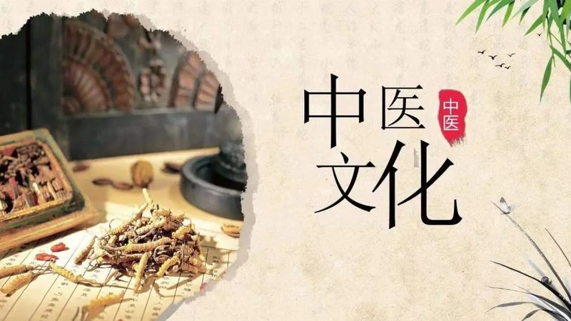 家用拔罐器：揭秘传统中医理疗的现代选择